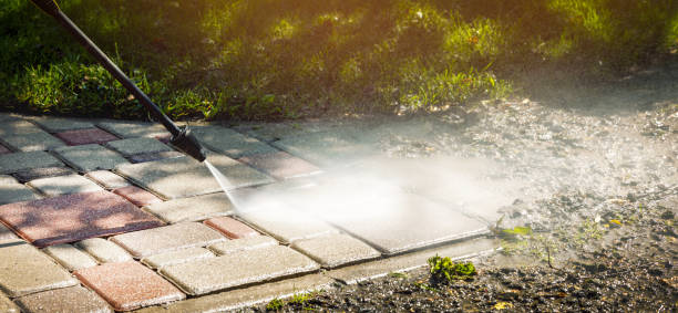 Best Solar Panel Cleaning  in Sulligent, AL